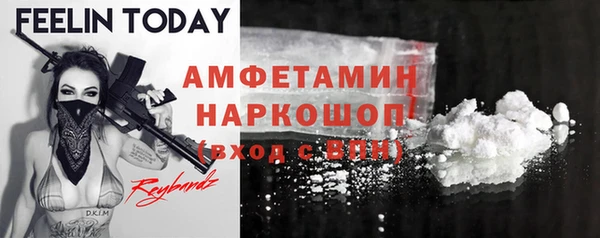 молекула духа Кулебаки