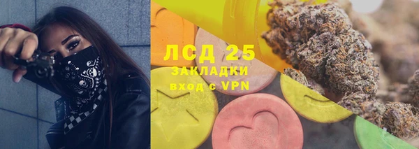 молекула духа Кулебаки