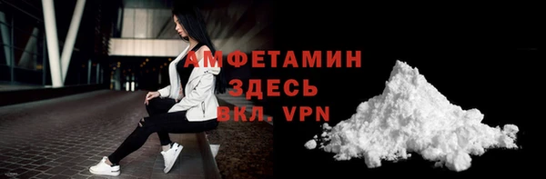 молекула духа Кулебаки