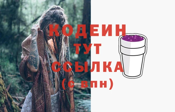 молекула духа Кулебаки